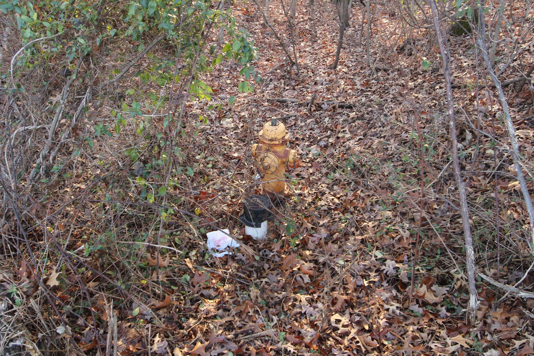 Image for 31.6 Acres M/L, 4161 Hopper Cape Girardeau MO 63701, MLS #25000991