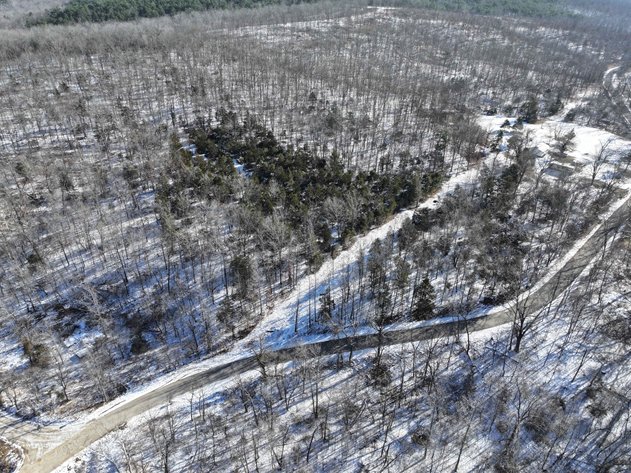 Image for 11.34 Acres M/L, County Road 257 Fredricktown, MO 63645, MLS #25002309