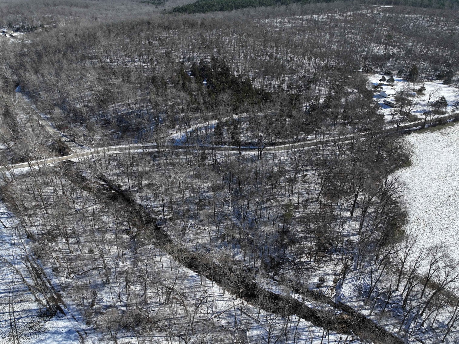 Image for 11.34 Acres M/L, County Road 257 Fredricktown, MO 63645, MLS #25002309