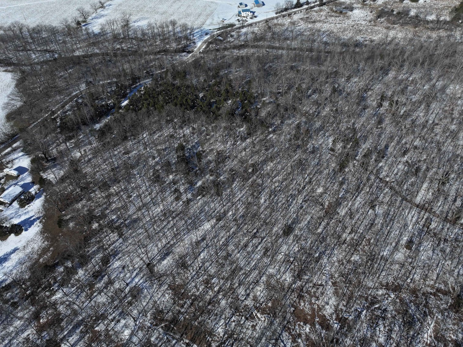 Image for 11.34 Acres M/L, County Road 257 Fredricktown, MO 63645, MLS #25002309