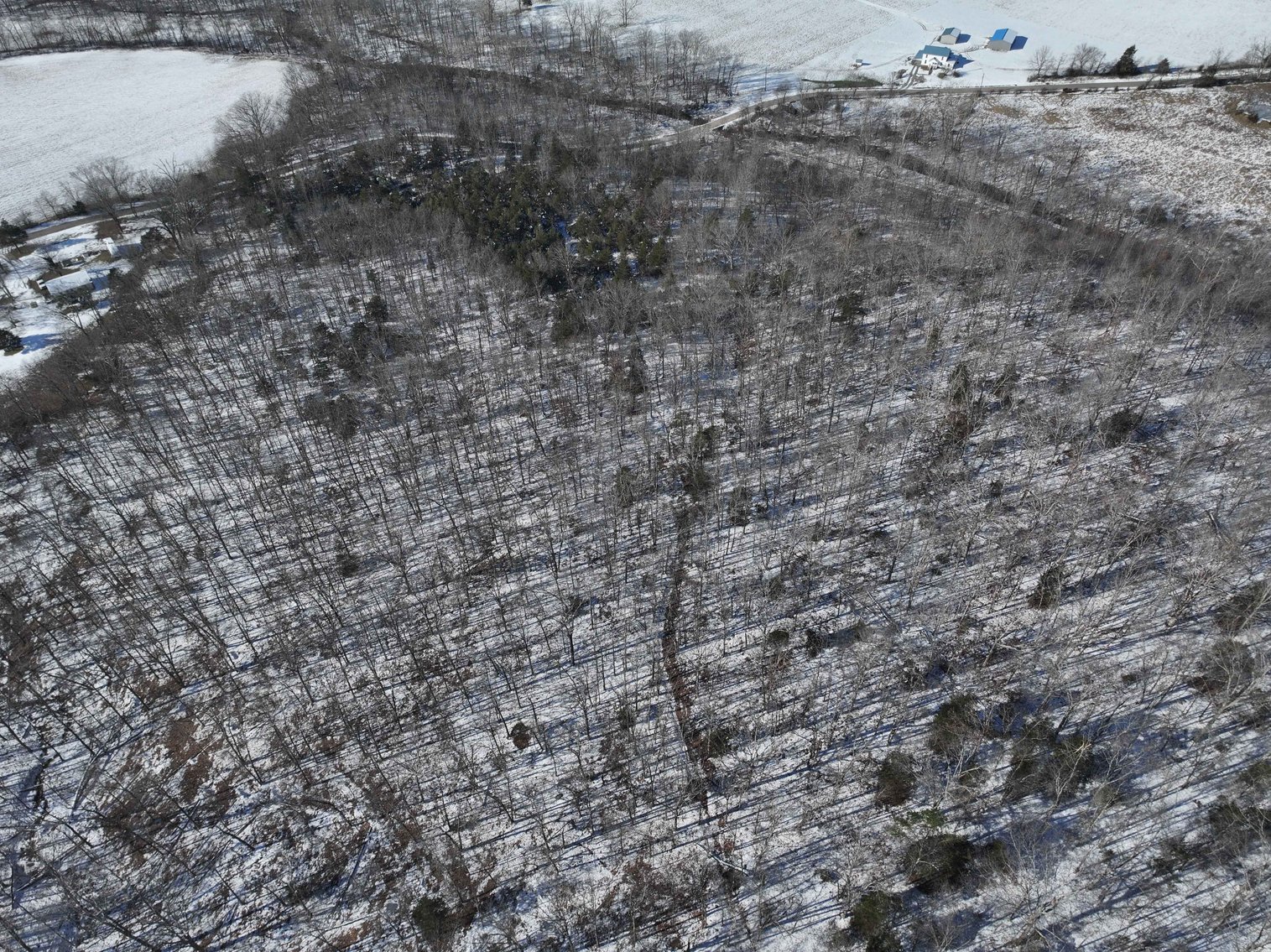 Image for 11.34 Acres M/L, County Road 257 Fredricktown, MO 63645, MLS #25002309