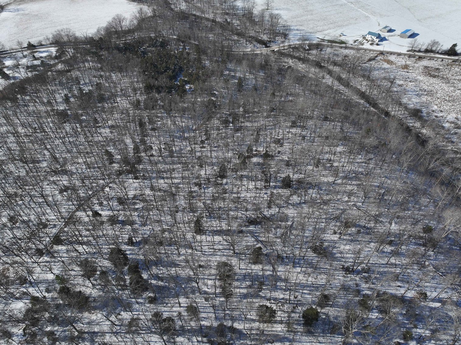 Image for 11.34 Acres M/L, County Road 257 Fredricktown, MO 63645, MLS #25002309