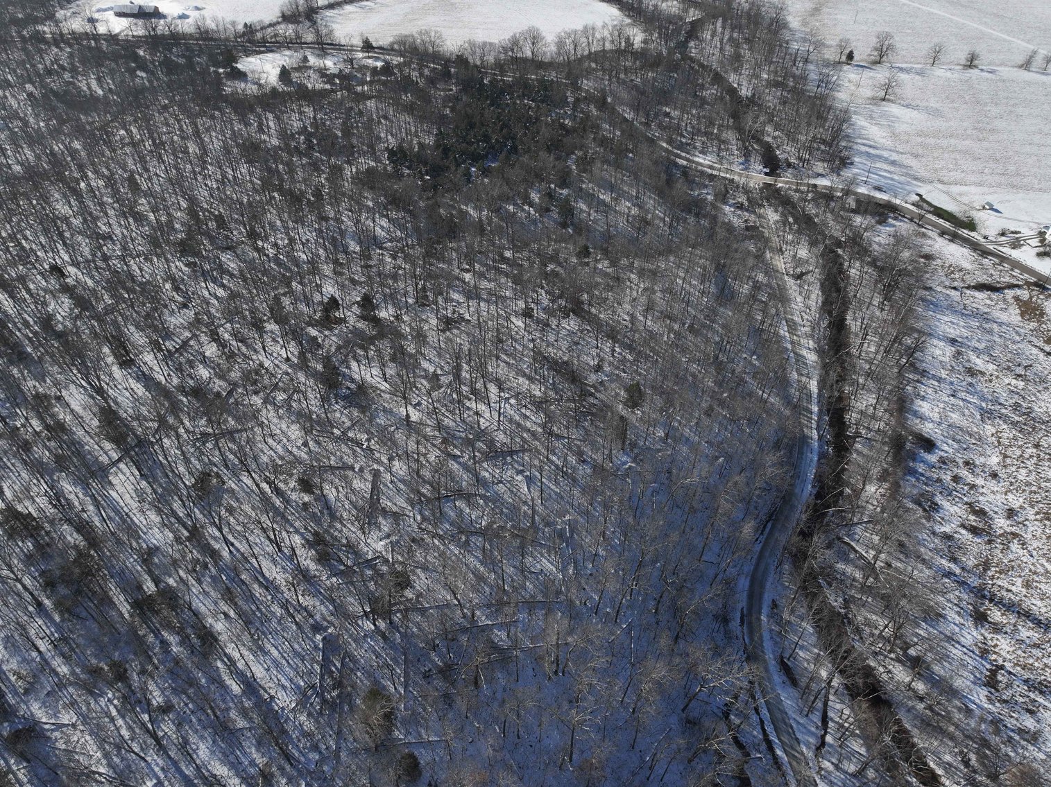 Image for 11.34 Acres M/L, County Road 257 Fredricktown, MO 63645, MLS #25002309