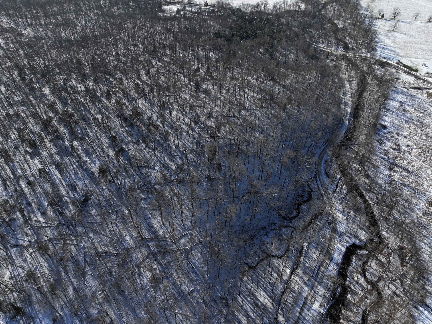 Image for 11.34 Acres M/L, County Road 257 Fredricktown, MO 63645, MLS #25002309