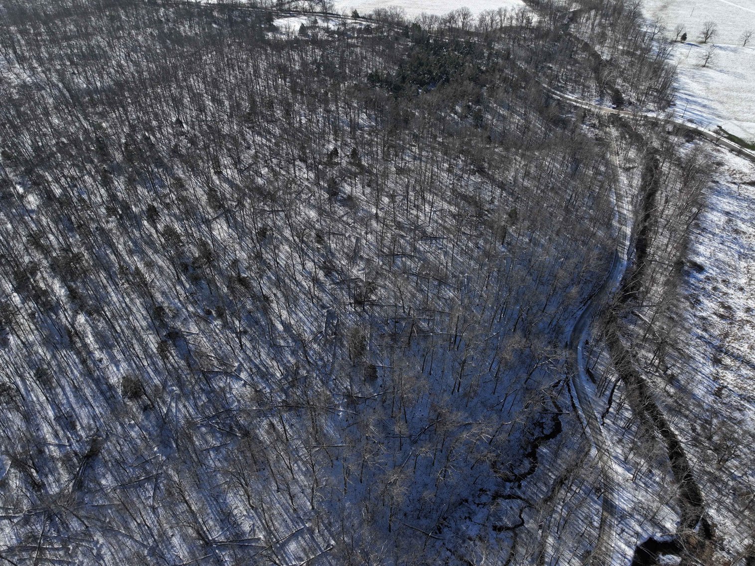 Image for 11.34 Acres M/L, County Road 257 Fredricktown, MO 63645, MLS #25002309