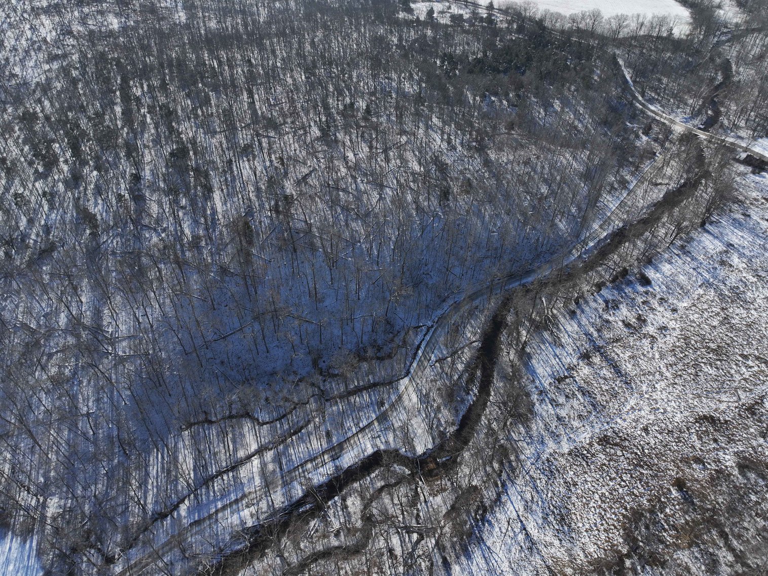 Image for 11.34 Acres M/L, County Road 257 Fredricktown, MO 63645, MLS #25002309