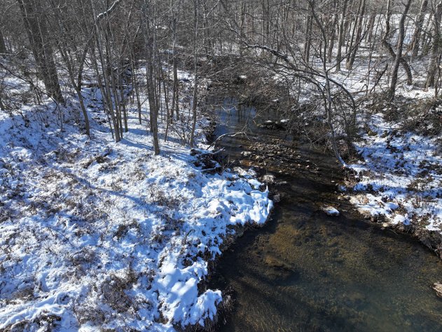 Image for 11.34 Acres M/L, County Road 257 Fredricktown, MO 63645, MLS #25002309