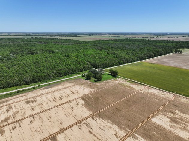 Image for 368 Acres m/l, County Road W-4, Naylor, MO 63953, MLS #25003026