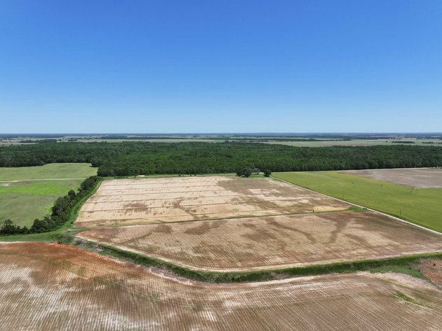 Image for 368 Acres m/l, County Road W-4, Naylor, MO 63953, MLS #25003026