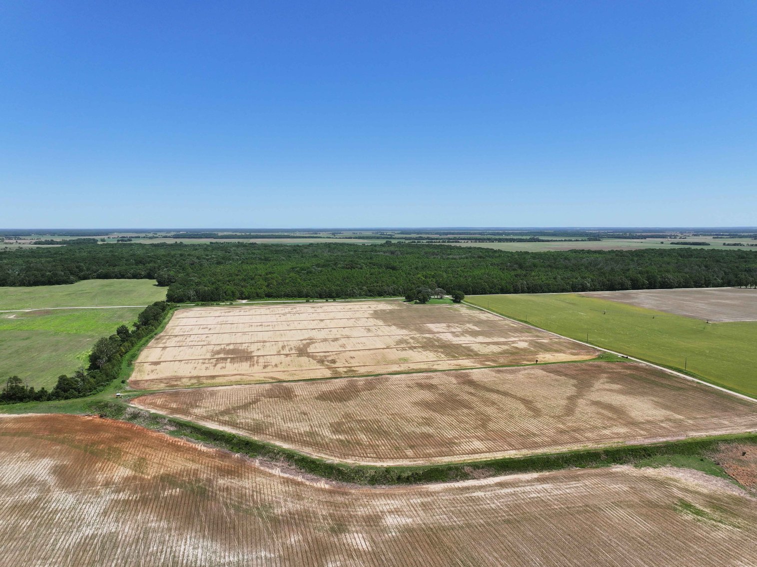 Image for 368 Acres m/l, County Road W-4, Naylor, MO 63953, MLS #25003026