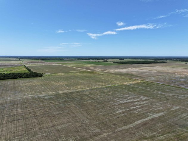 Image for 368 Acres m/l, County Road W-4, Naylor, MO 63953, MLS #25003026