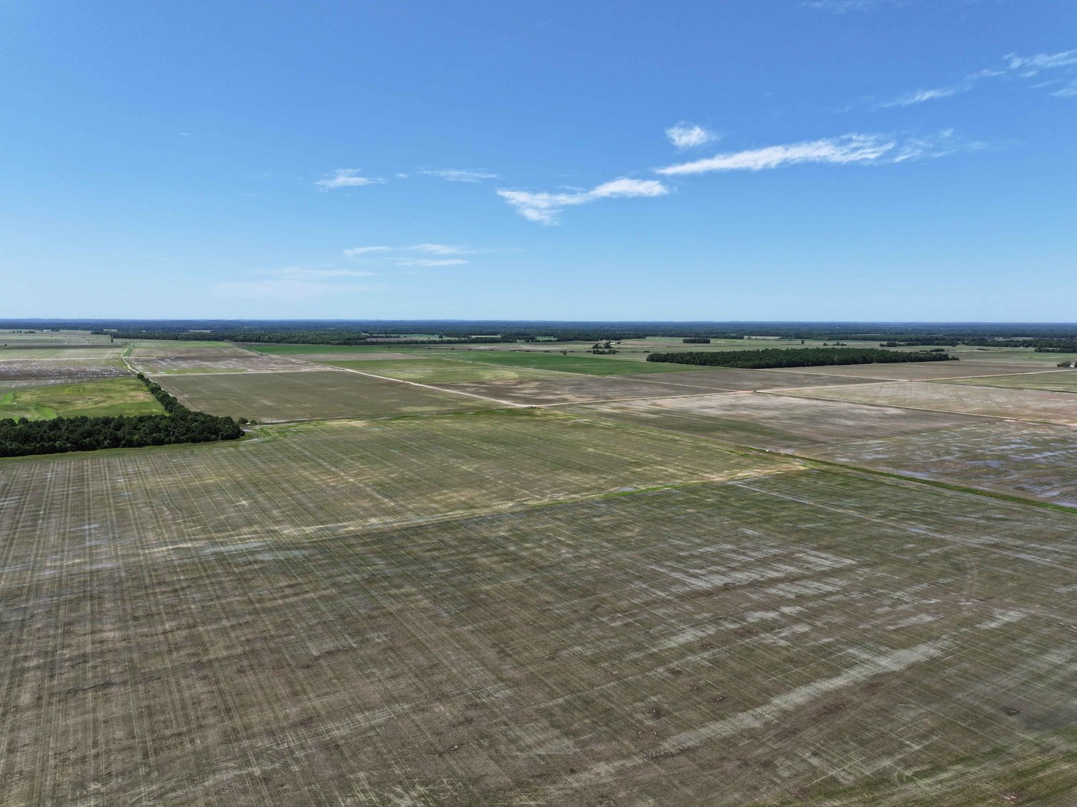 Image for 368 Acres m/l, County Road W-4, Naylor, MO 63953, MLS #25003026