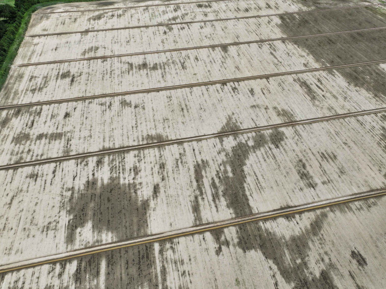 Image for 368 Acres m/l, County Road W-4, Naylor, MO 63953, MLS #25003026