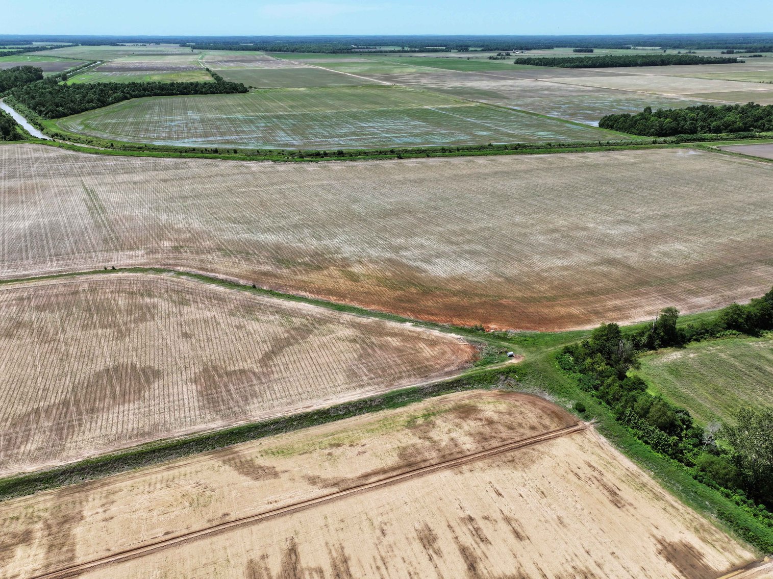 Image for 368 Acres m/l, County Road W-4, Naylor, MO 63953, MLS #25003026