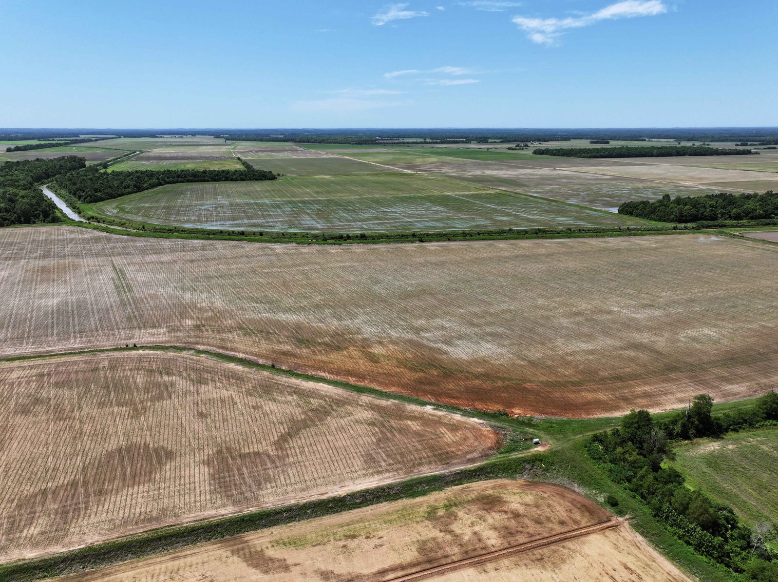 Image for 368 Acres m/l, County Road W-4, Naylor, MO 63953, MLS #25003026