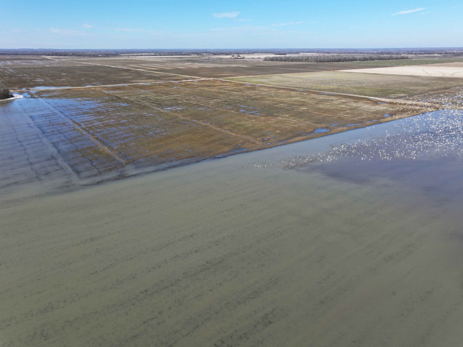 Image for 368 Acres m/l, County Road W-4, Naylor, MO 63953, MLS #25003026