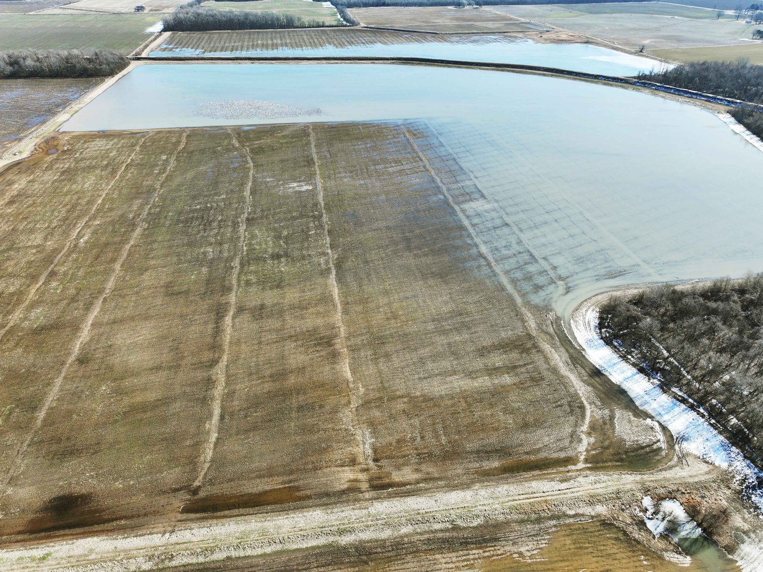 Image for 368 Acres m/l, County Road W-4, Naylor, MO 63953, MLS #25003026