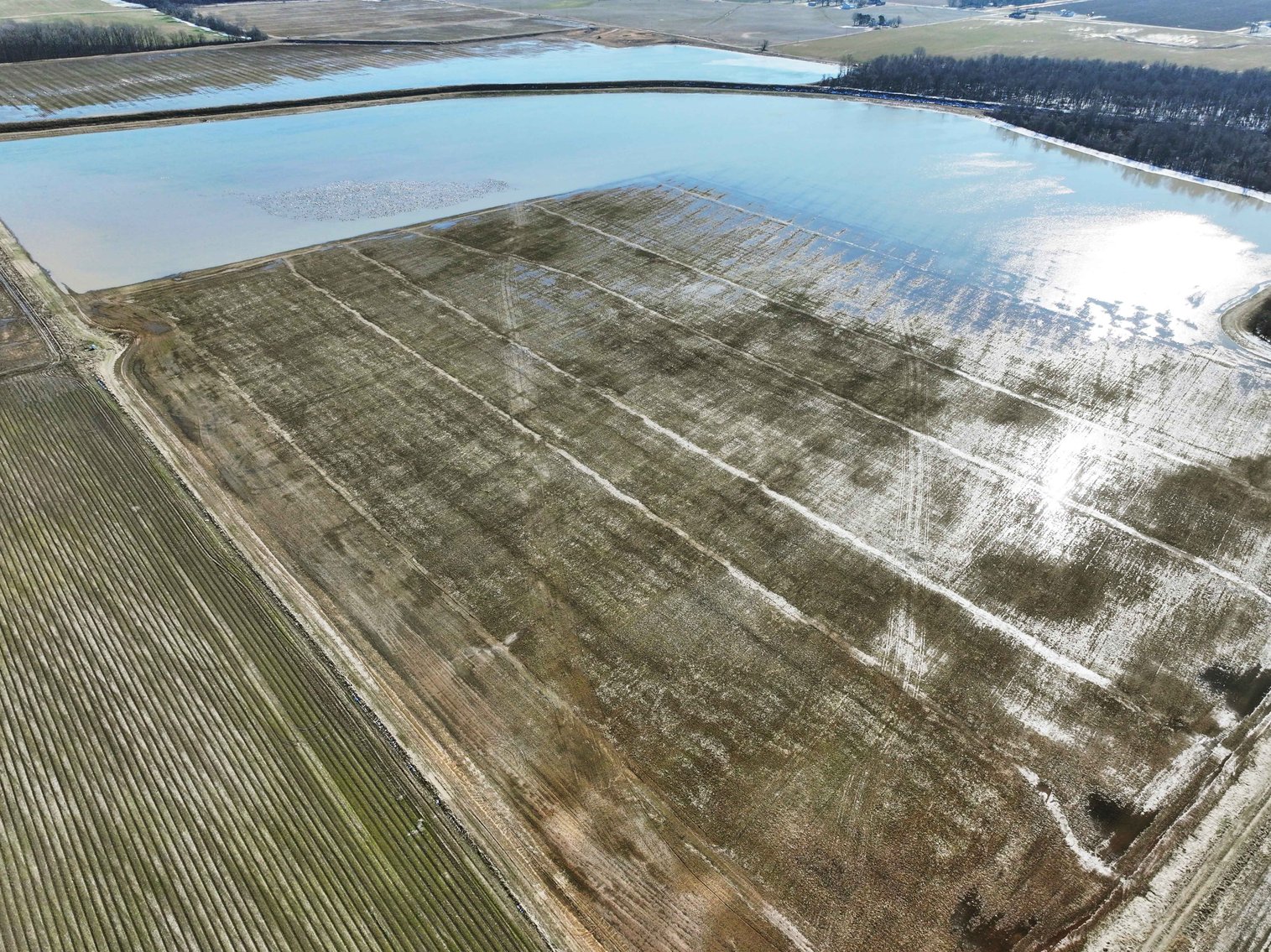 Image for 368 Acres m/l, County Road W-4, Naylor, MO 63953, MLS #25003026