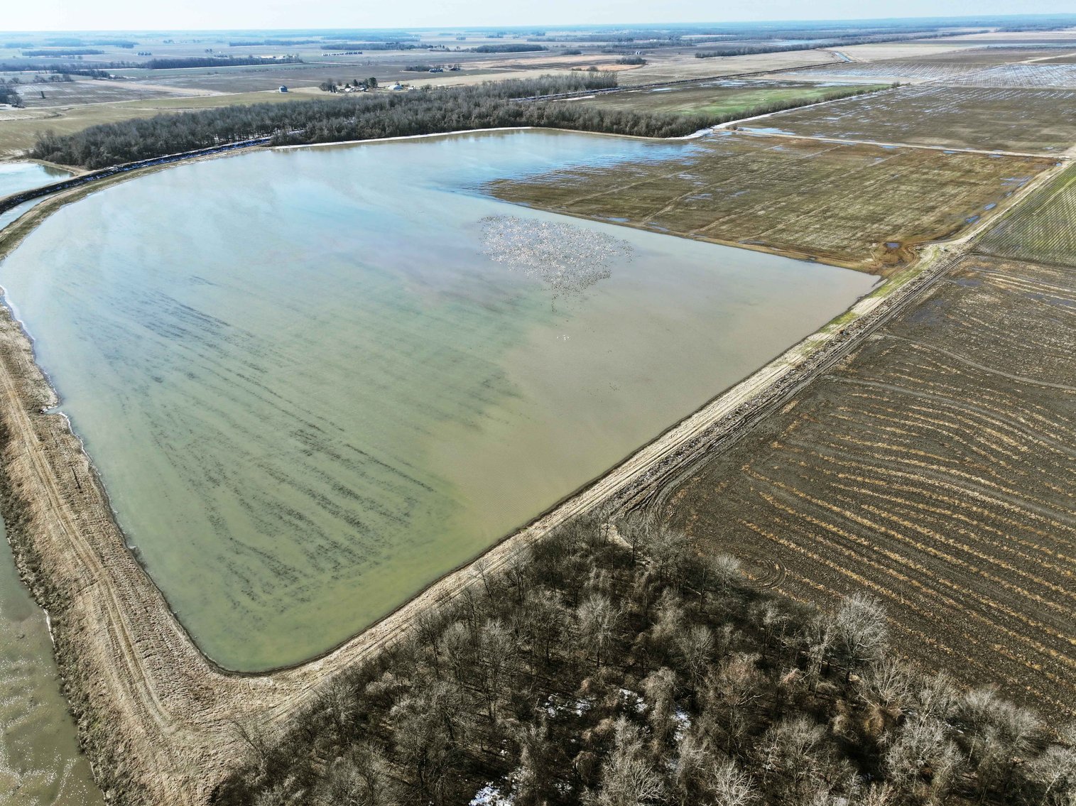 Image for 368 Acres m/l, County Road W-4, Naylor, MO 63953, MLS #25003026