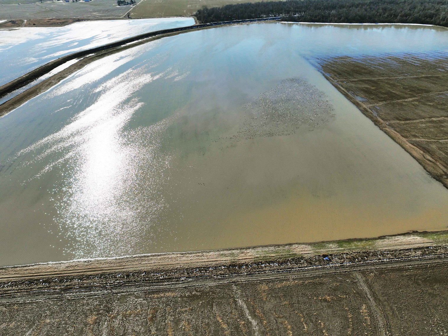 Image for 368 Acres m/l, County Road W-4, Naylor, MO 63953, MLS #25003026