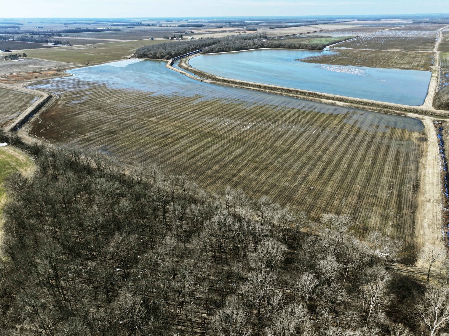 Image for 368 Acres m/l, County Road W-4, Naylor, MO 63953, MLS #25003026