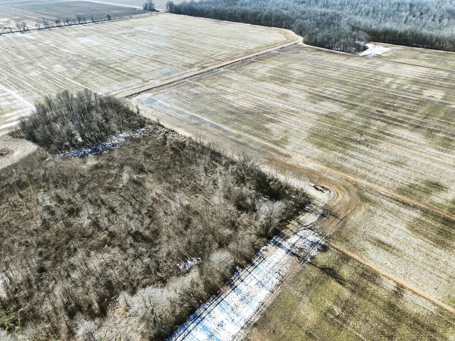 Image for 120 Acres m/l, Tract 2 County Road H-3, Naylor, MO 63953, MLS #25003050