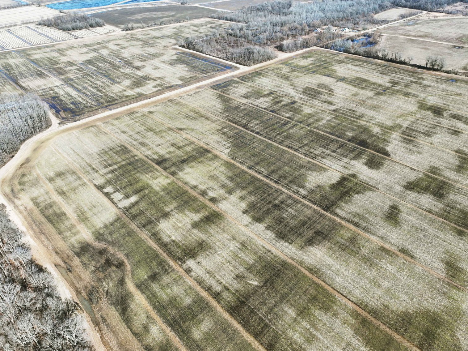 Image for 120 Acres m/l, Tract 2 County Road H-3, Naylor, MO 63953, MLS #25003050