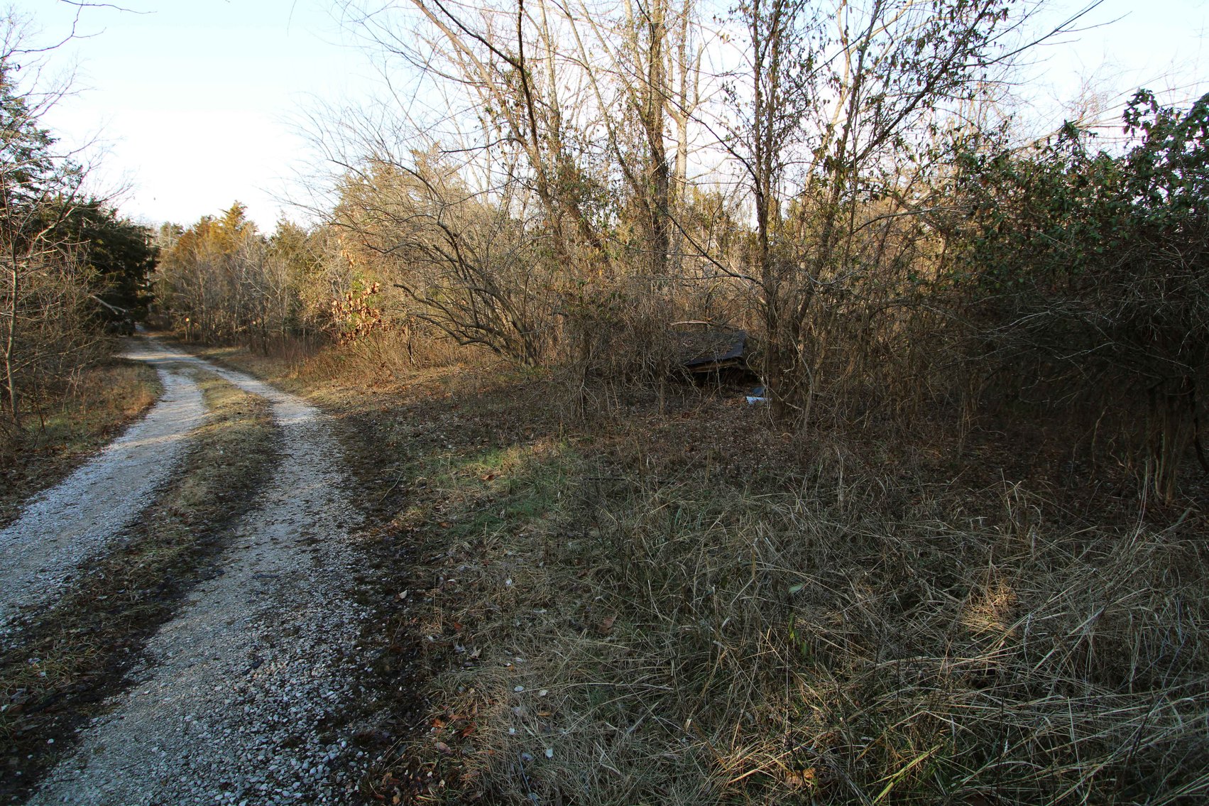 Image for 9.17 Acres M/L, Highway N, Perryville, MO 63775, MLS #25005514