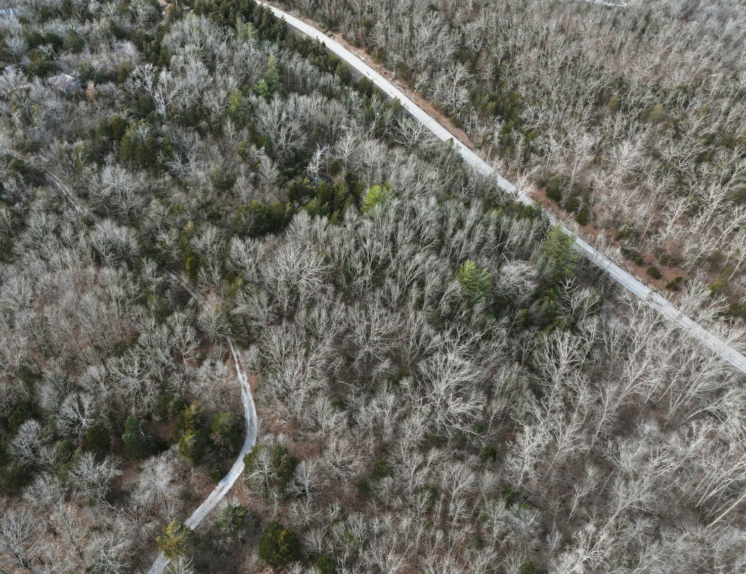 Image for 9.17 Acres M/L, Highway N, Perryville, MO 63775, MLS #25005514