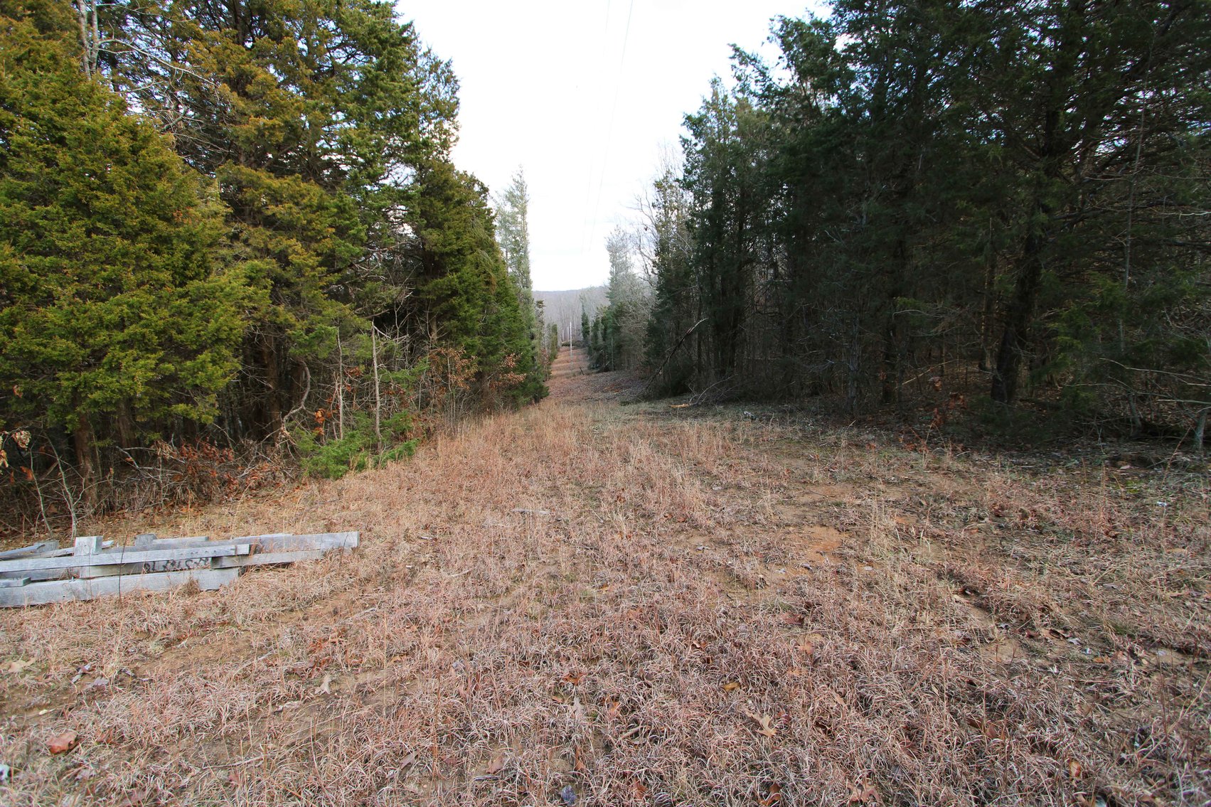 Image for 9.17 Acres M/L, Highway N, Perryville, MO 63775, MLS #25005514