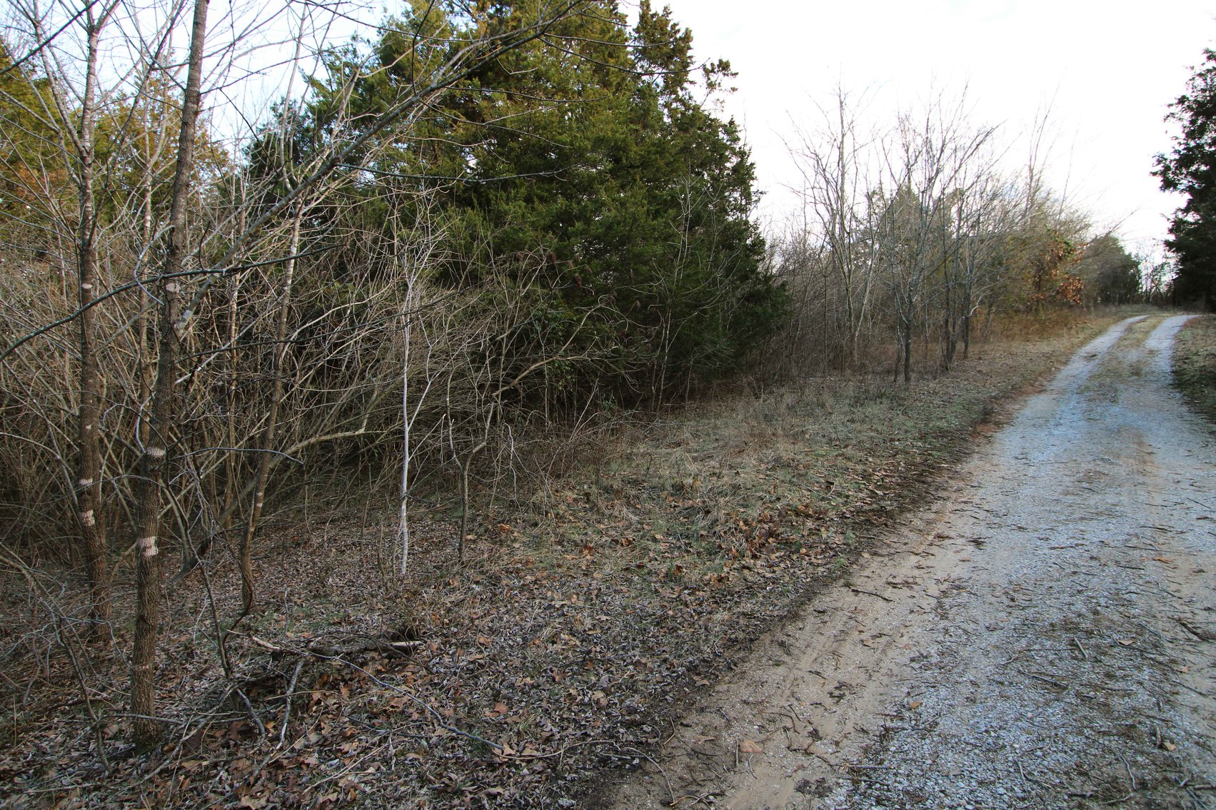 Image for 9.17 Acres M/L, Highway N, Perryville, MO 63775, MLS #25005514