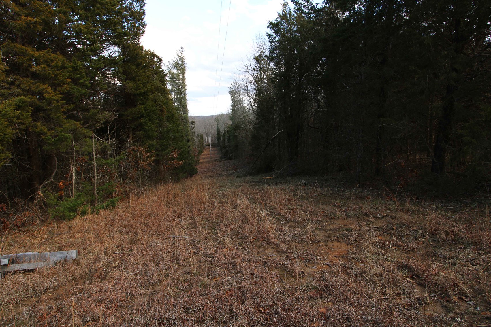 Image for 9.17 Acres M/L, Highway N, Perryville, MO 63775, MLS #25005514