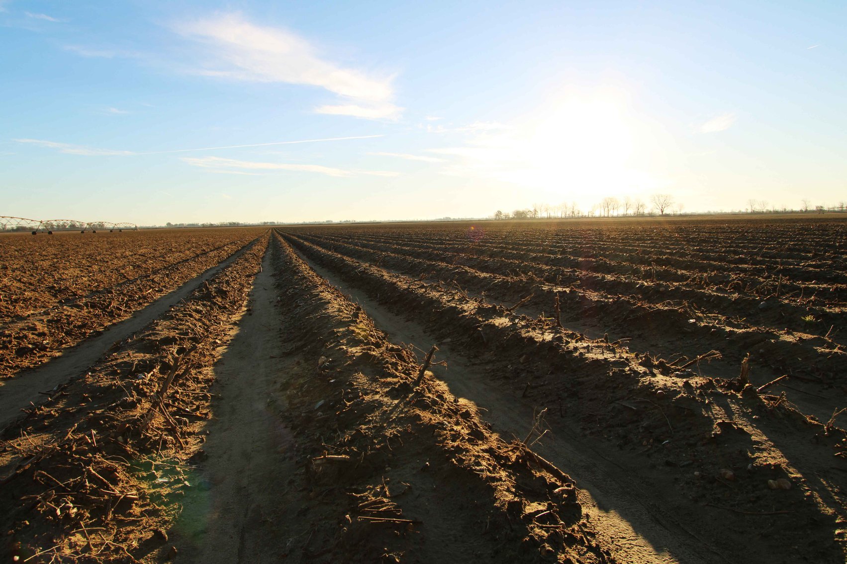 Image for Dunklin County, County Road 529 & 556