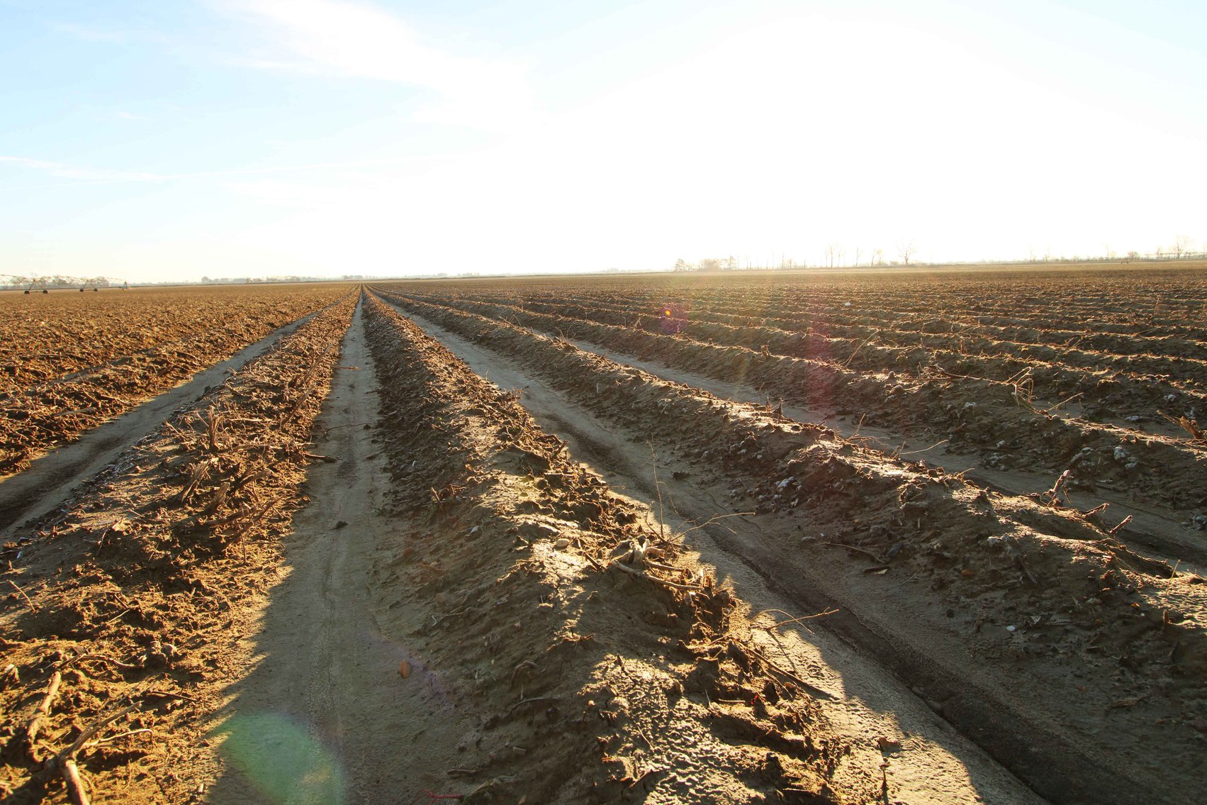 Image for Dunklin County, County Road 529 & 556