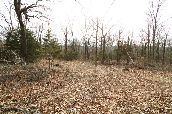 Image for 6.9 Acres +/-, Lot 27 Hickory Hollow Estates PCR 860, St Mary, MO 63673, MLS#25007743