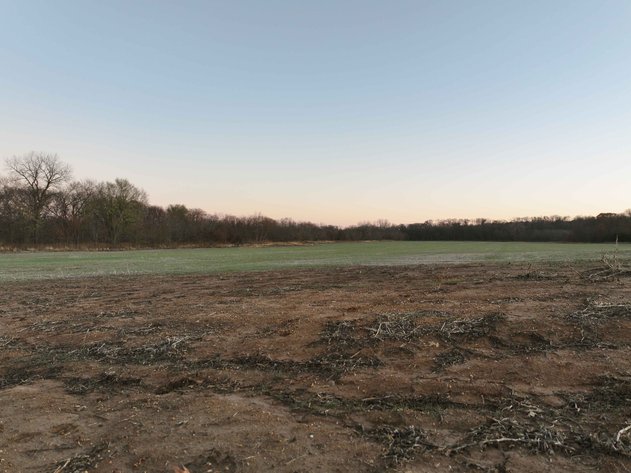 Image for 62.3 Ac +/-, Saddle Road, Humphreys MO 64646, MLS 25009605