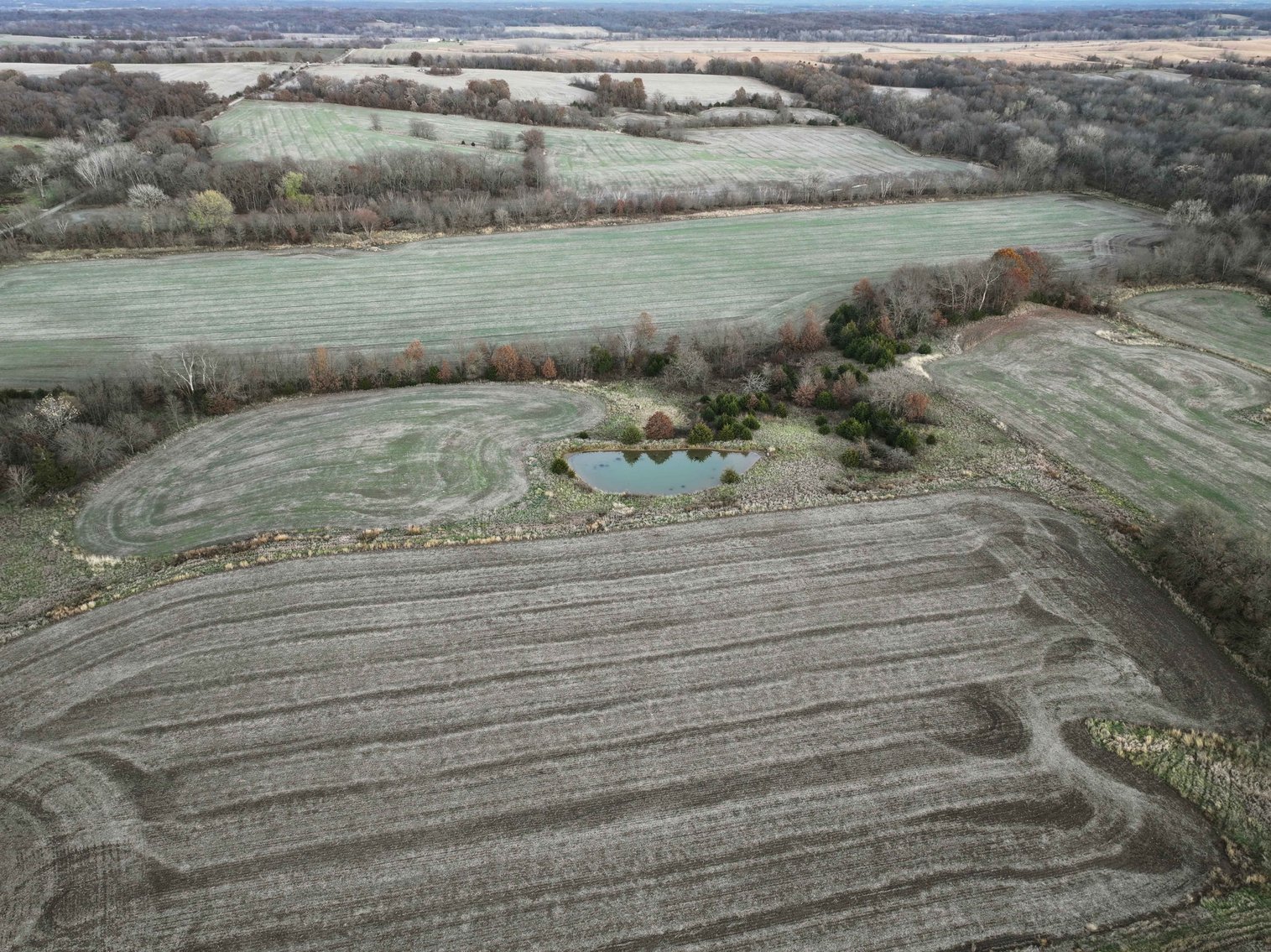 Image for 62.3 Ac +/-, Saddle Road, Humphreys MO 64646, MLS 25009605