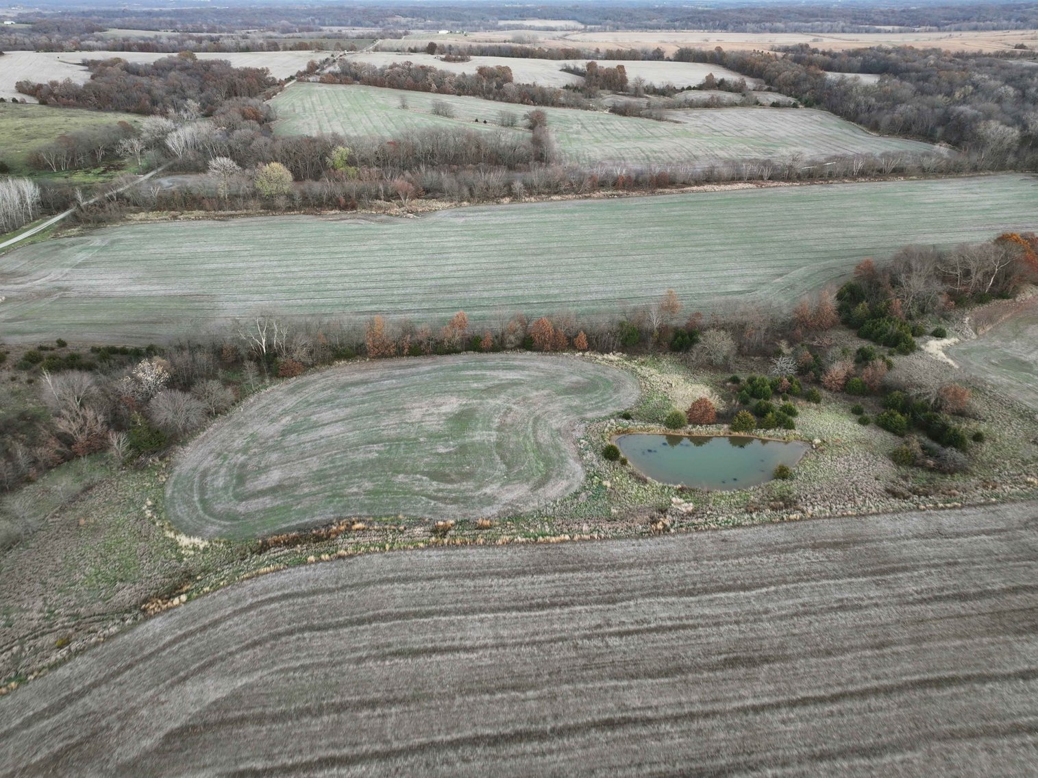 Image for 62.3 Ac +/-, Saddle Road, Humphreys MO 64646, MLS 25009605