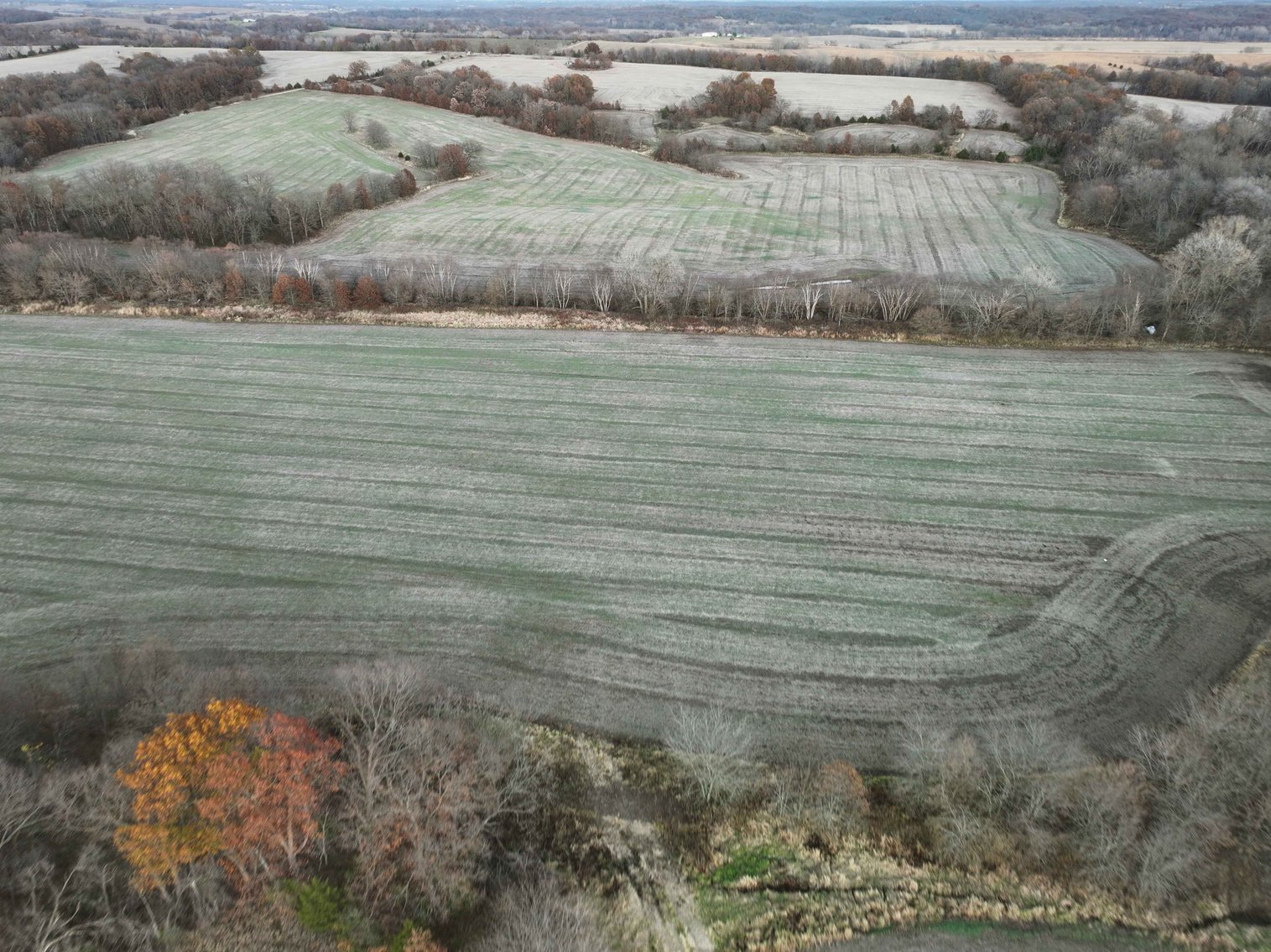 Image for 62.3 Ac +/-, Saddle Road, Humphreys MO 64646, MLS 25009605