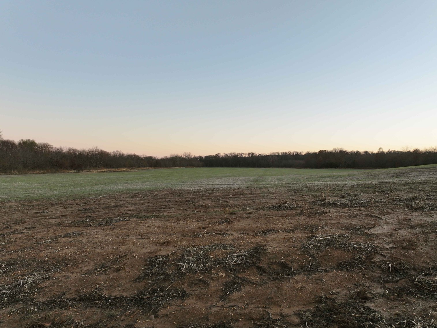 Image for 62.3 Ac +/-, Saddle Road, Humphreys MO 64646, MLS 25009605