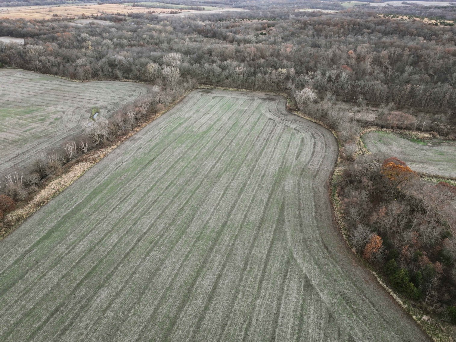 Image for 62.3 Ac +/-, Saddle Road, Humphreys MO 64646, MLS 25009605