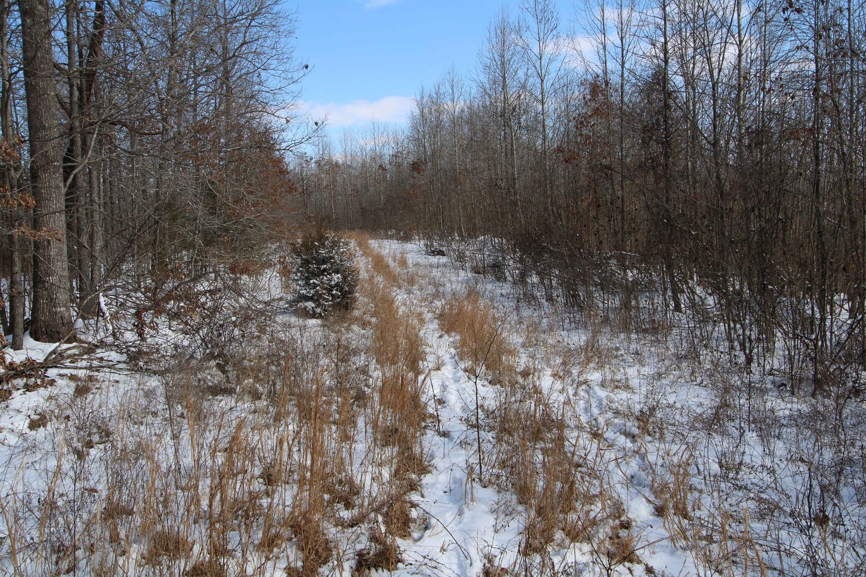 Image for 70 Acres+\- BCR 710, Zalma MO 63787, MLS 25009340