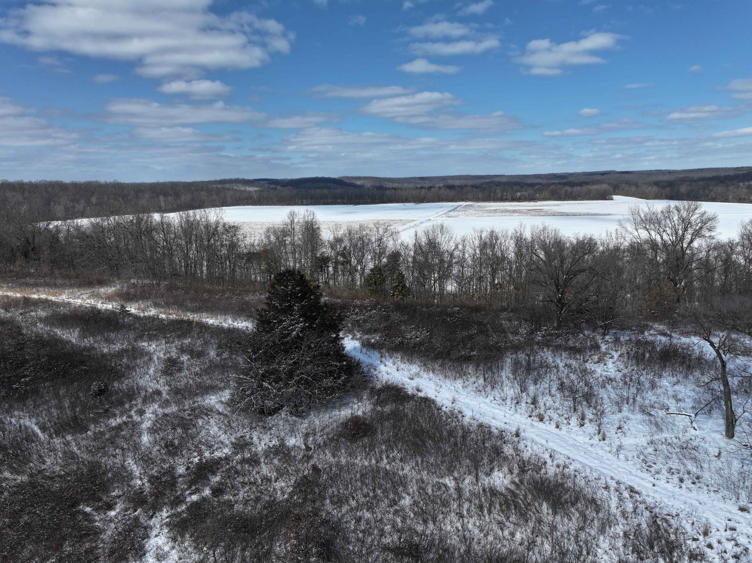 Image for 70 Acres+\- BCR 710, Zalma MO 63787, MLS 25009340