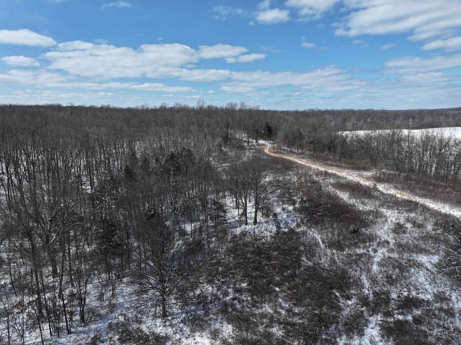 Image for 70 Acres+\- BCR 710, Zalma MO 63787, MLS 25009340