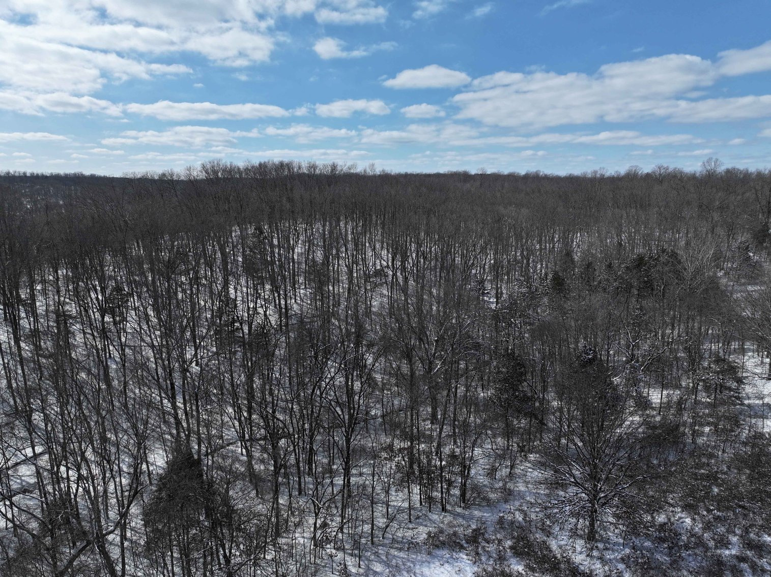 Image for 70 Acres+\- BCR 710, Zalma MO 63787, MLS 25009340