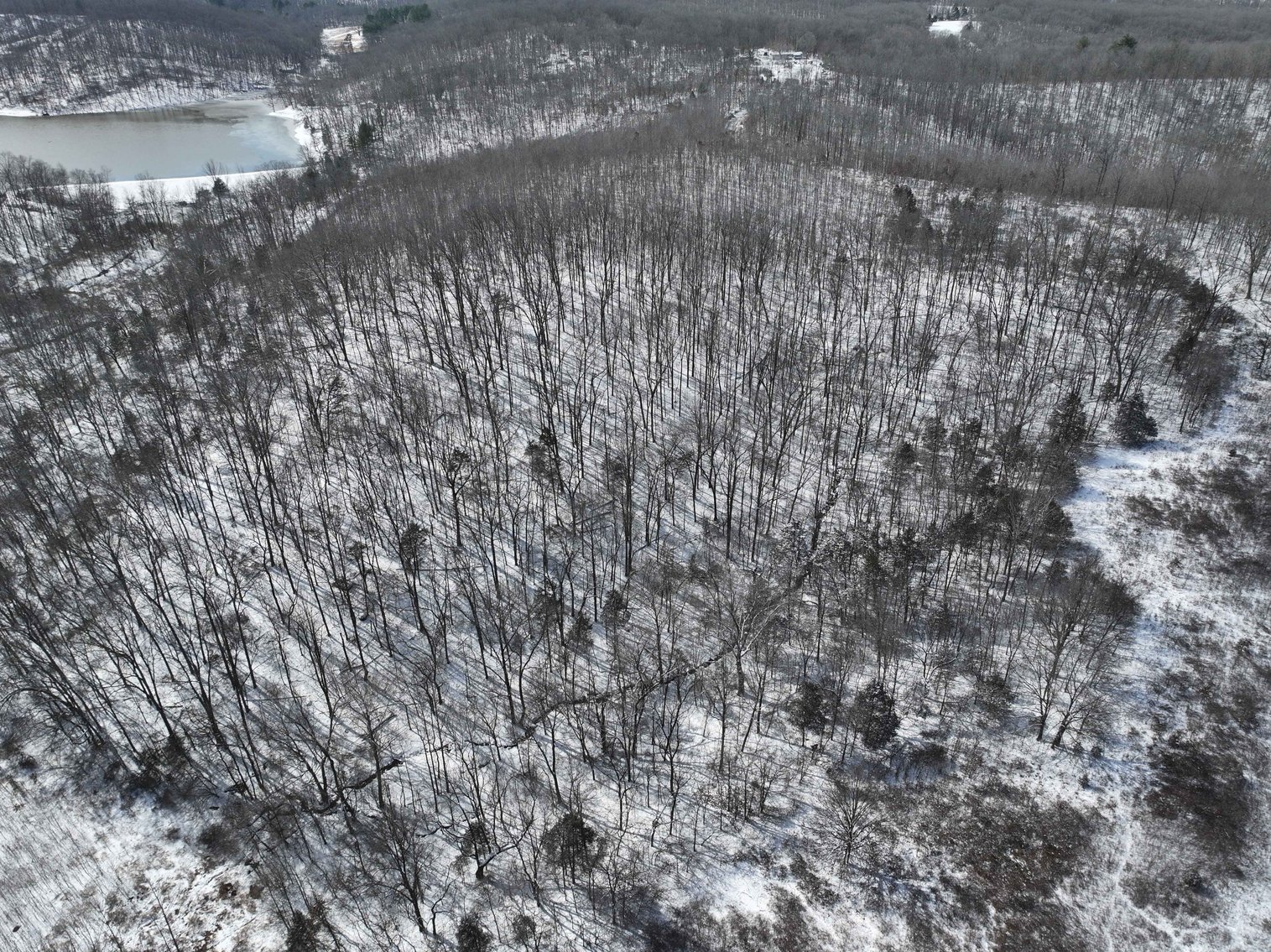 Image for 70 Acres+\- BCR 710, Zalma MO 63787, MLS 25009340