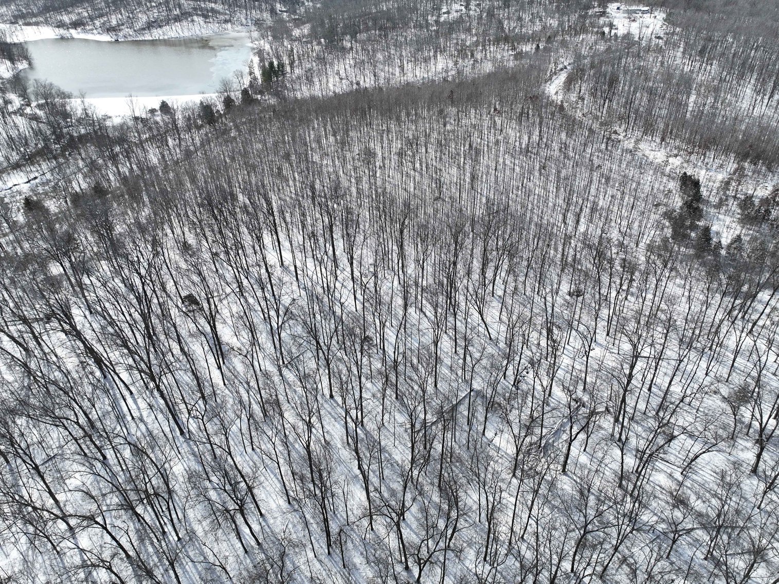 Image for 70 Acres+\- BCR 710, Zalma MO 63787, MLS 25009340