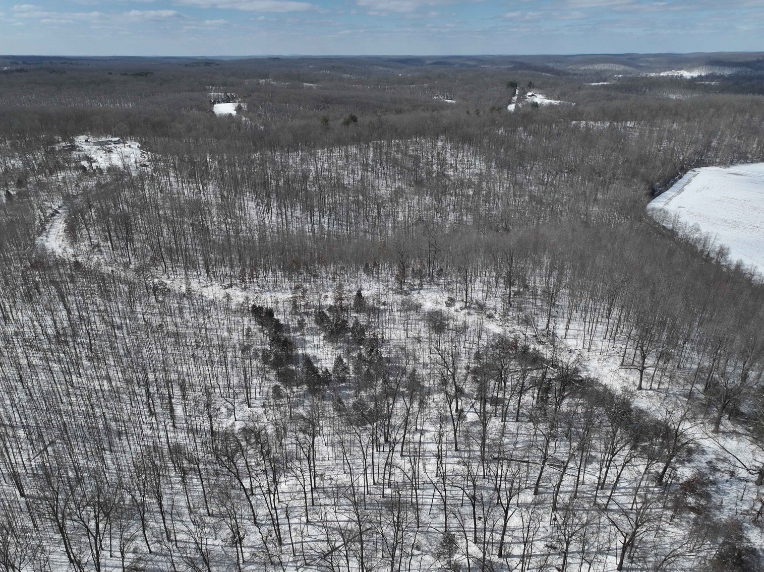 Image for 70 Acres+\- BCR 710, Zalma MO 63787, MLS 25009340