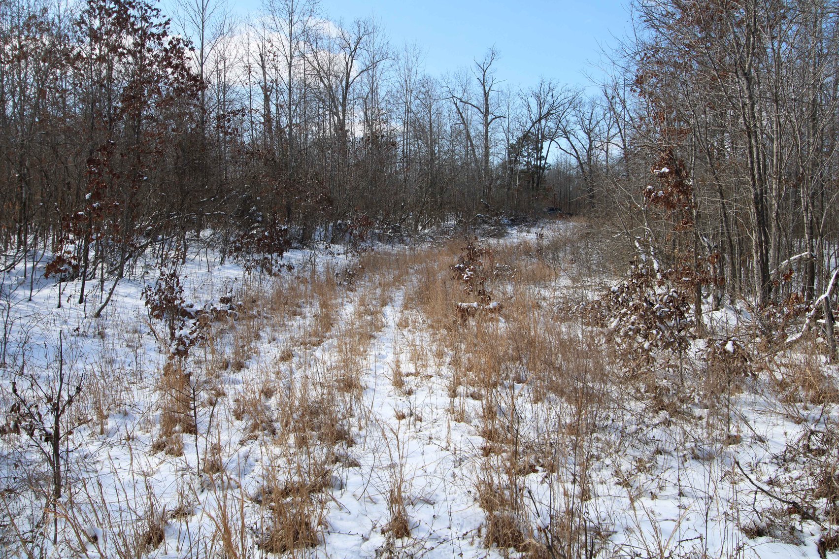 Image for 70 Acres+\- BCR 710, Zalma MO 63787, MLS 25009340