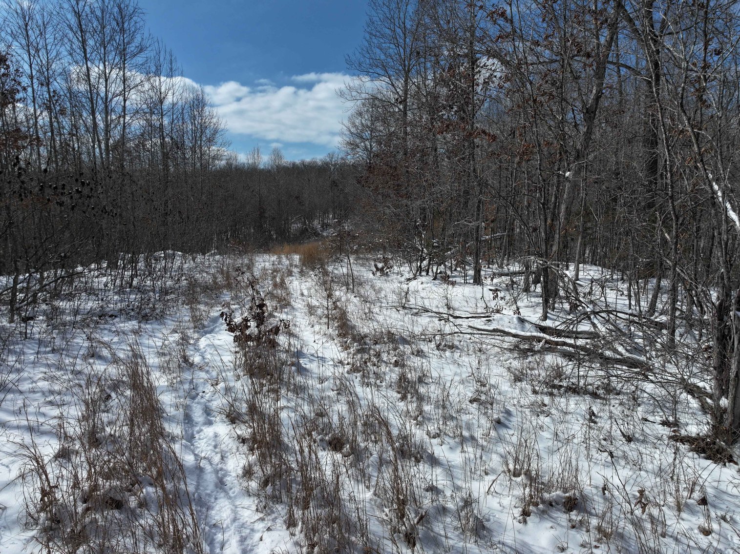 Image for 70 Acres+\- BCR 710, Zalma MO 63787, MLS 25009340